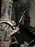 brakeswap098.JPG