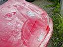 civicpaint001.JPG