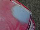 civicpaint005.JPG