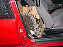 DSC00200.JPG