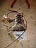 buildup04_10.JPG
